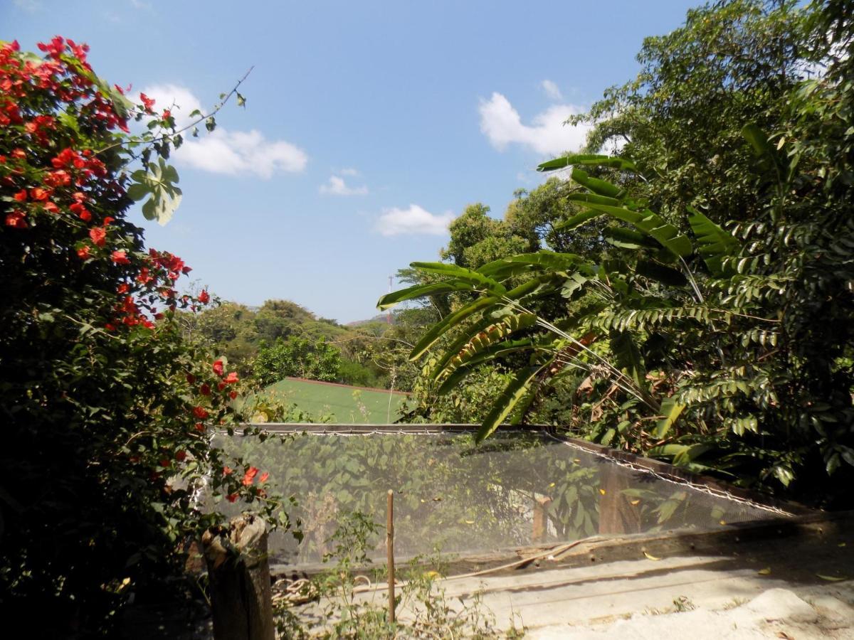 Colibri Hostal مينسا المظهر الخارجي الصورة
