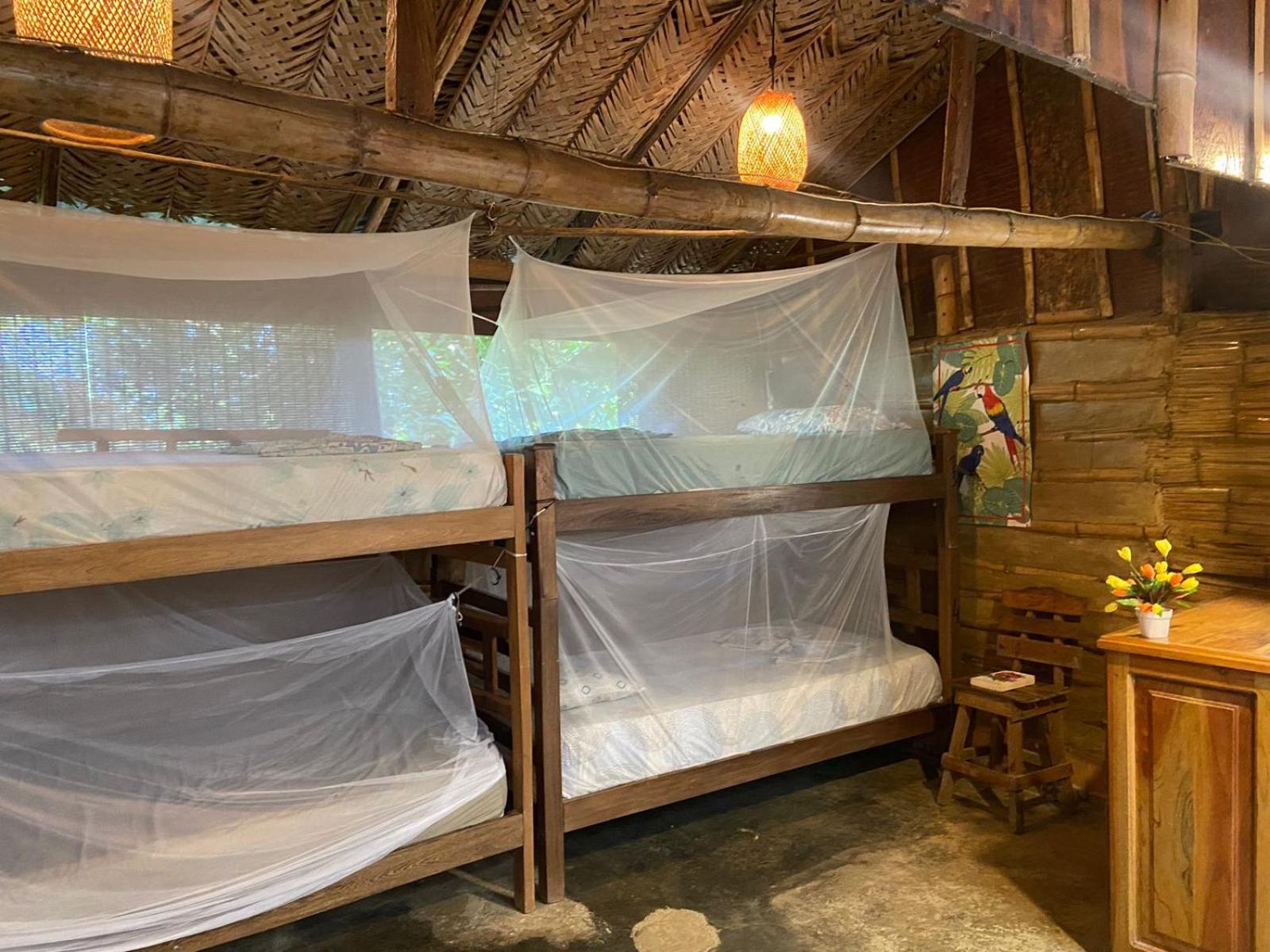 Colibri Hostal مينسا المظهر الخارجي الصورة
