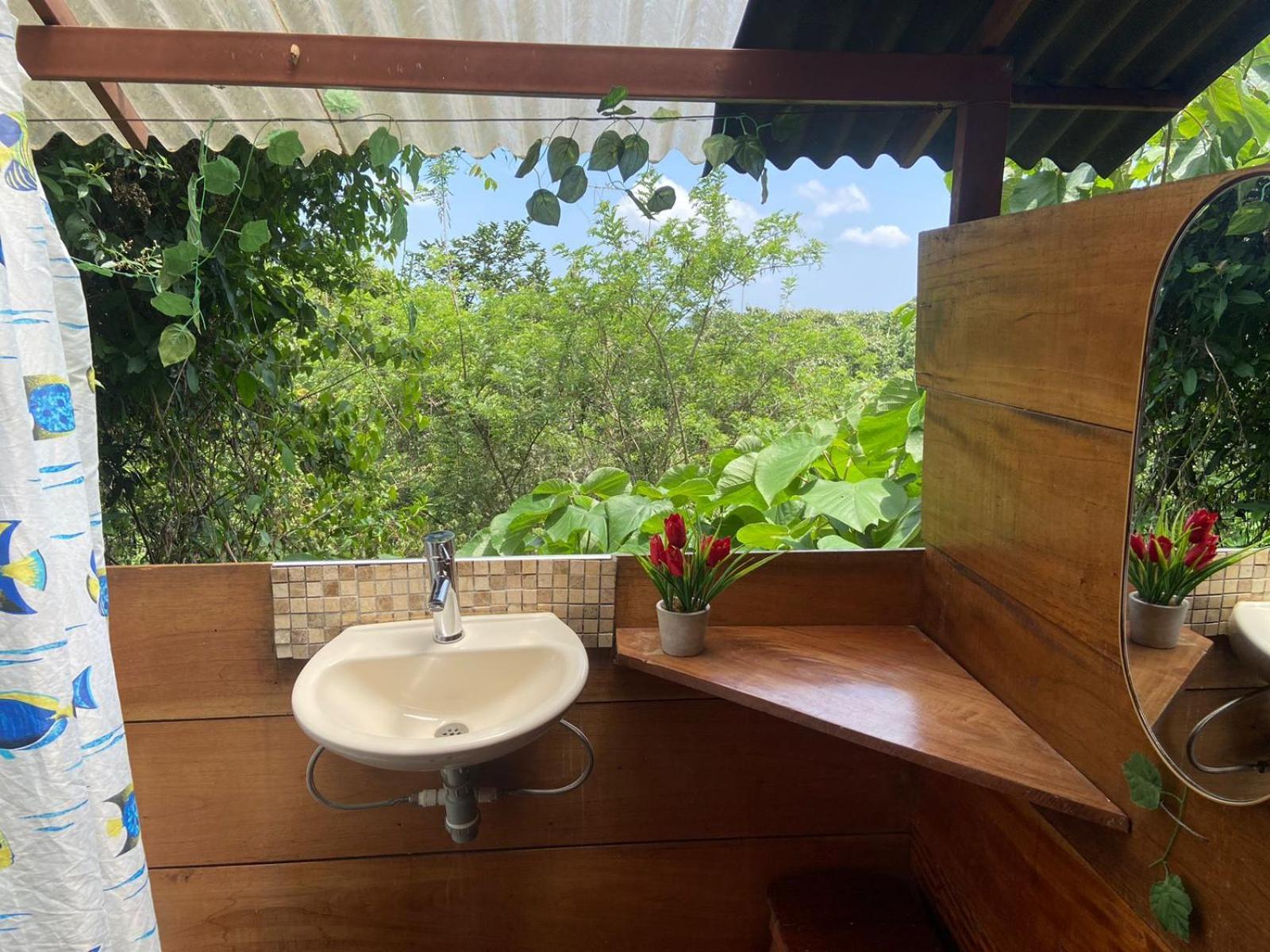 Colibri Hostal مينسا المظهر الخارجي الصورة